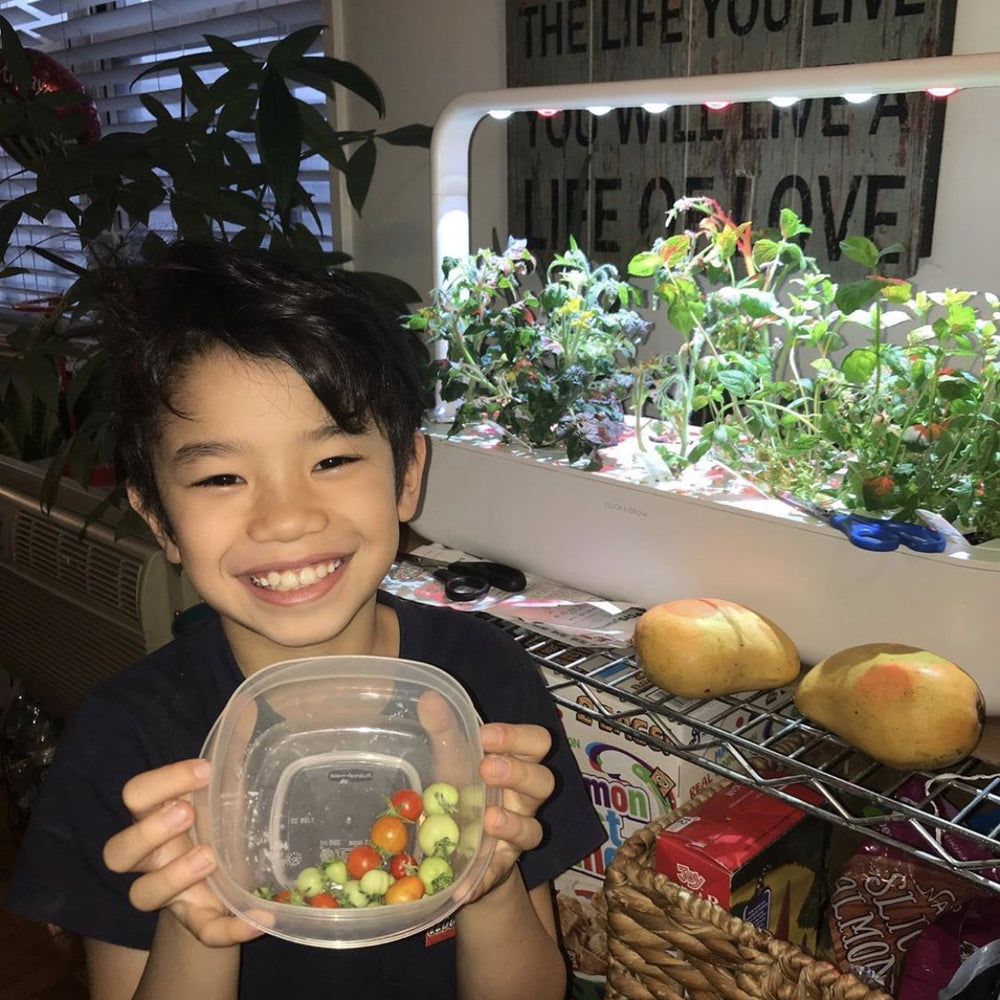 Educational Activities for Kids: Indoor Gardening
