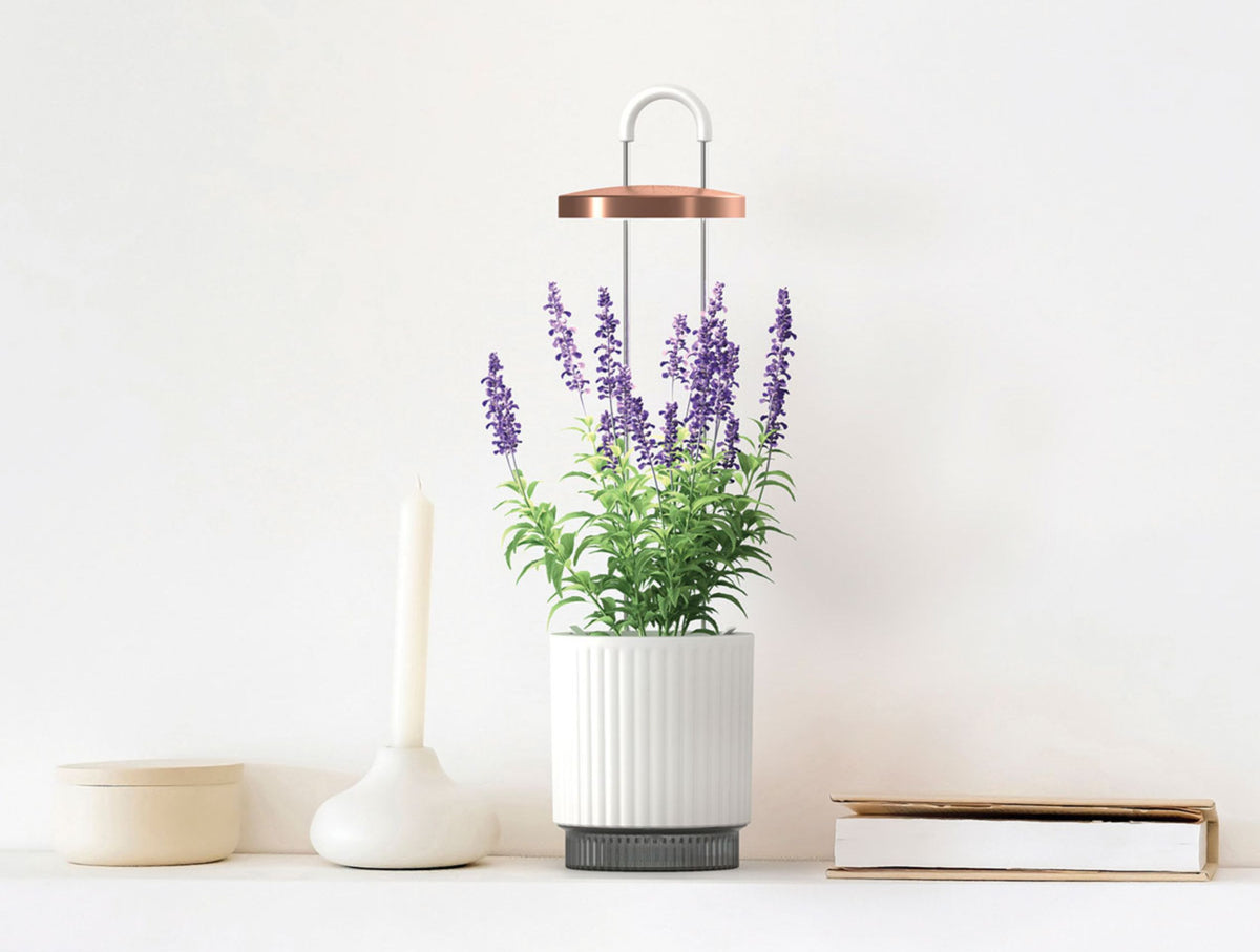 HydroVase by Ermonix / HydroVase by Ermonix