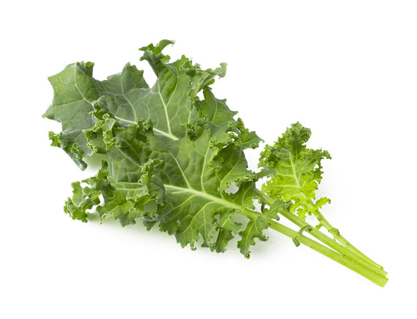 Green Kale Plant Pods 3-pack