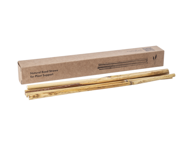 Natural Reed Straws - True support (10 pcs)