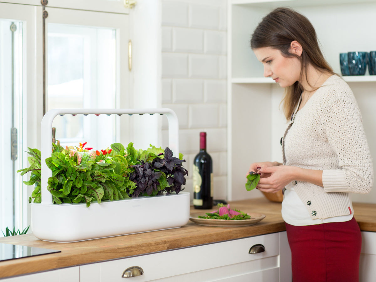 The Smart Garden 9 / The Smart Garden 9