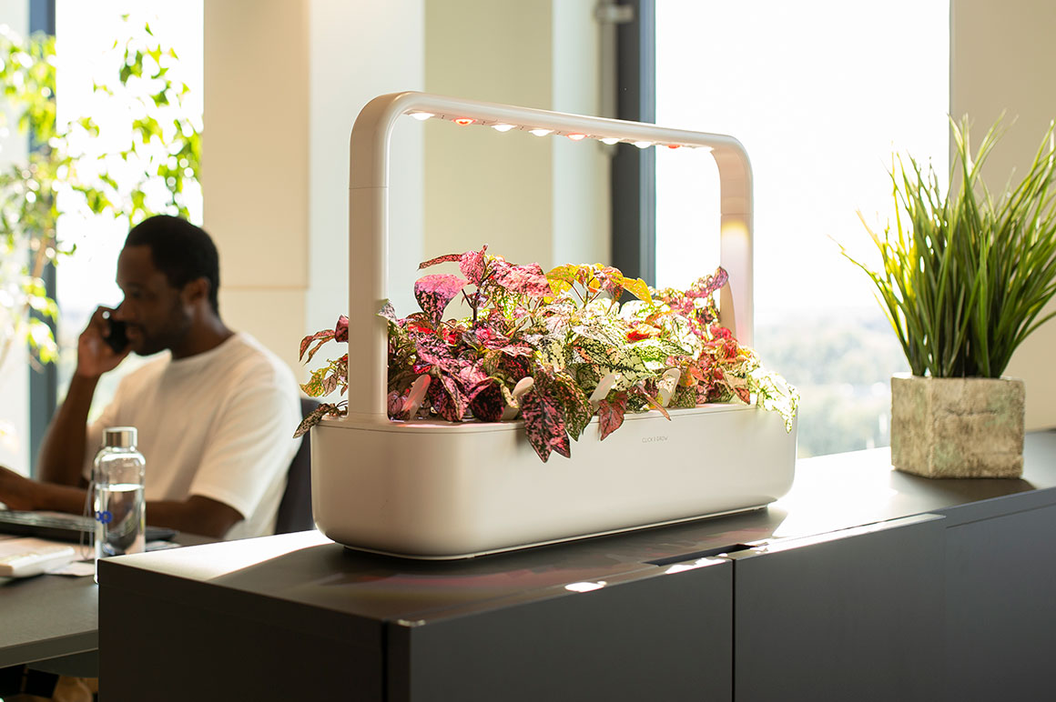 The Click & Grow - grow plants easily