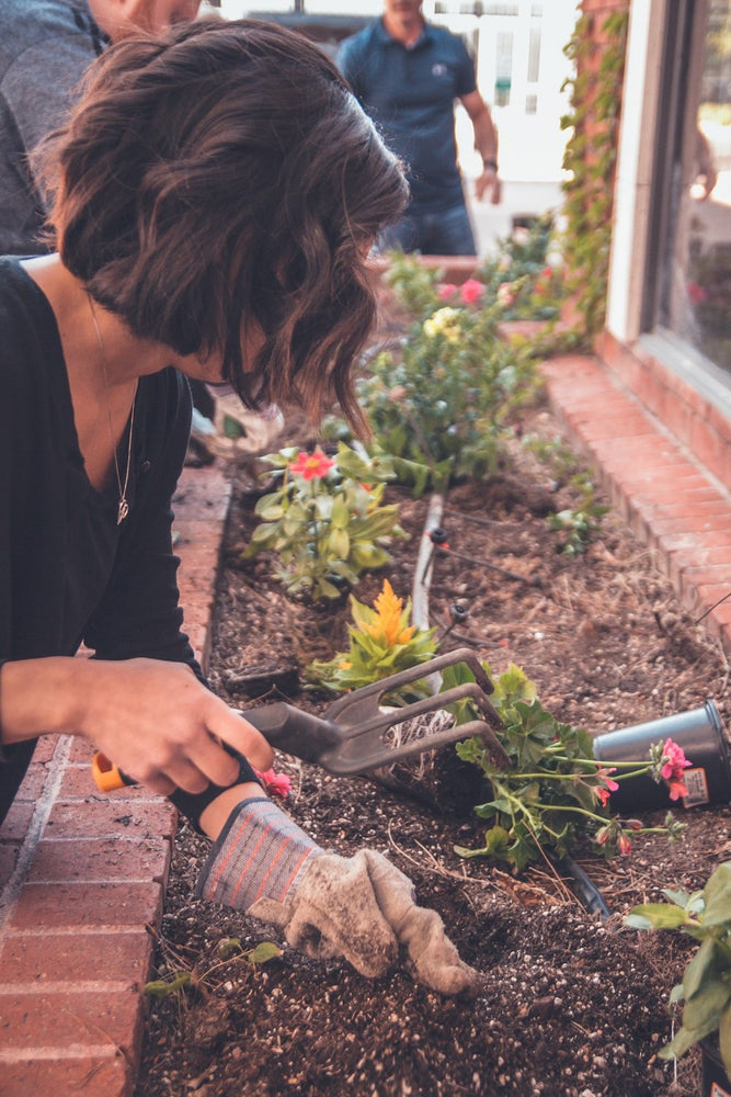 8 Simple Gardening Hacks You Can Try Today