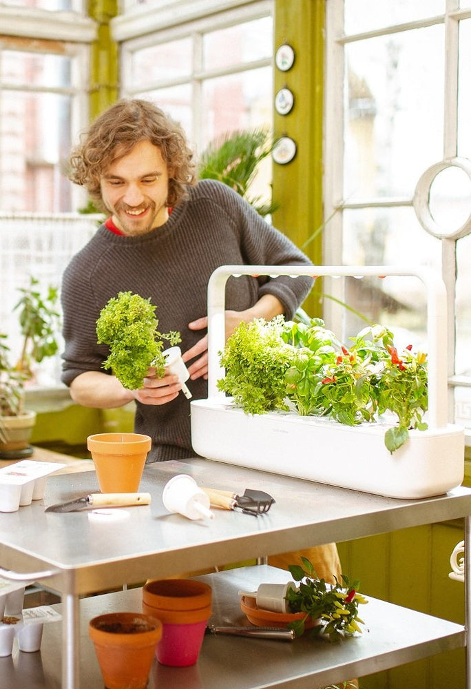 8 No-Nonsense Indoor Gardening Tips You Can’t Ignore