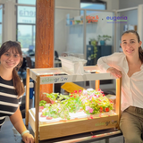 Click & Grow and Eugeria Working Together to Support Dementia Care