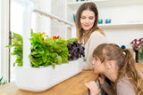 smart indoor garden