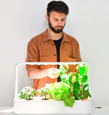 indoor herb garden