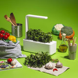 What Are Antioxidants and Why Do You Need Them?