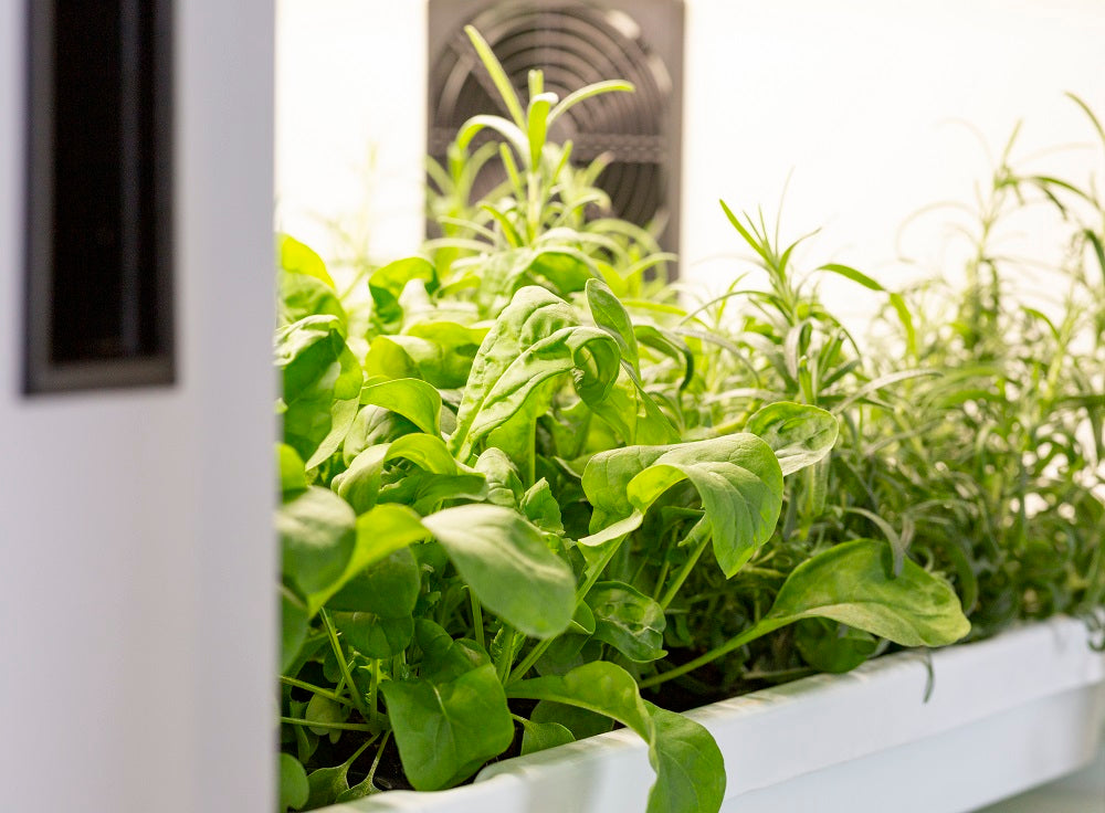 Click & Grow partners with Urban Cultivator to offer More Ways to Grow Plants