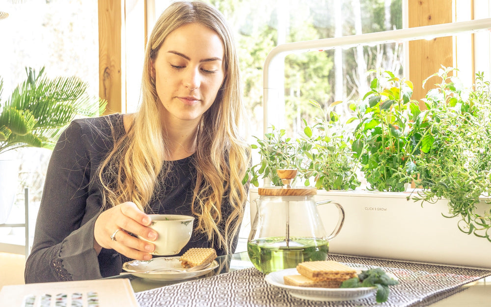 3 Tasty Herbal Tea Plants for Your Next Brew