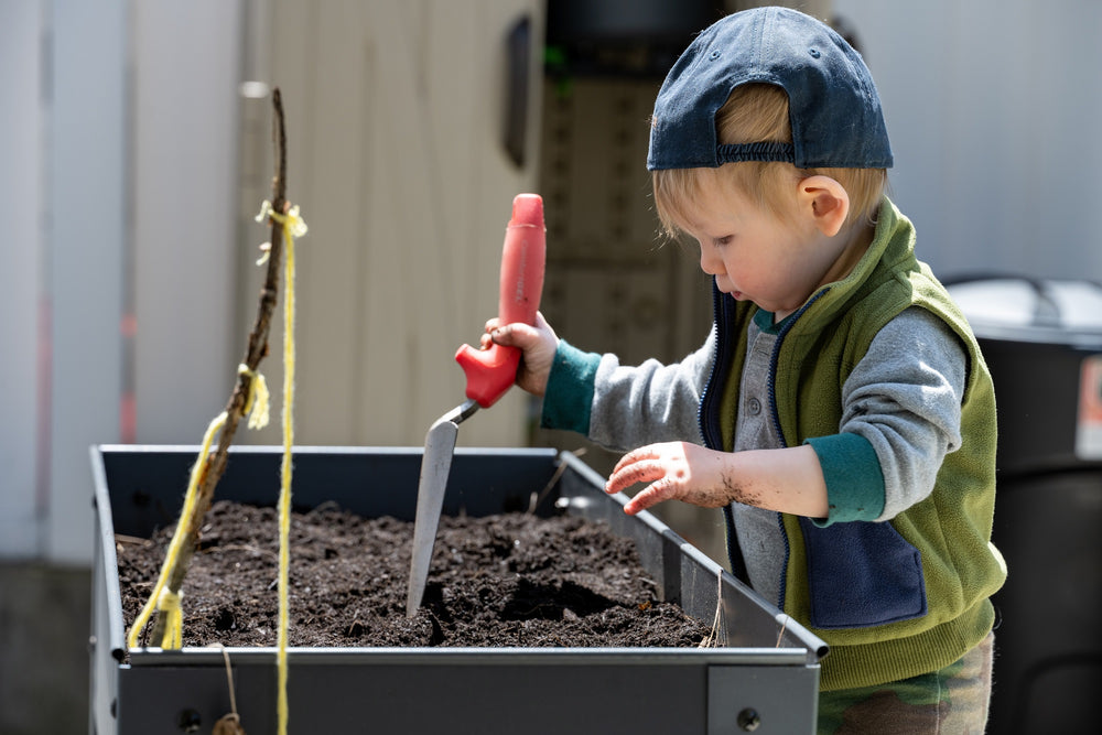 Why Children Need a School Garden
