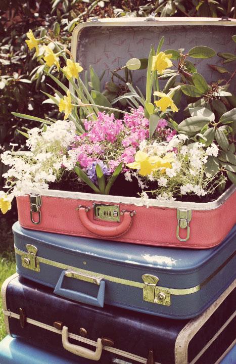 10 Crazy Plant Pot Alternatives That Are Just Too Cute
