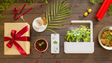 Gift Ideas - Indoor Spice Garden for Spicy Food Lovers