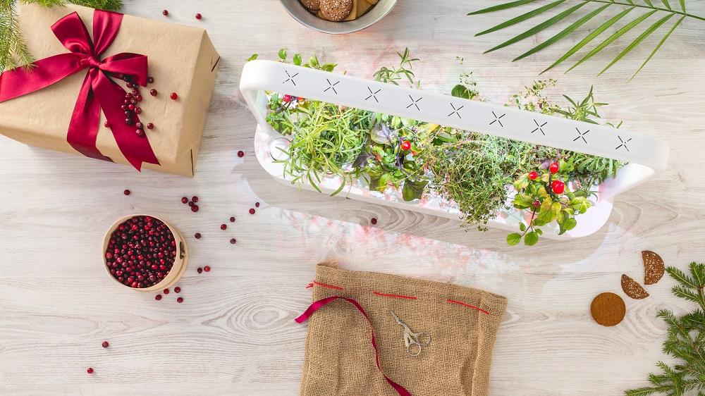 Gift Ideas - Indoor Herb Garden For Those Who Love to Cook