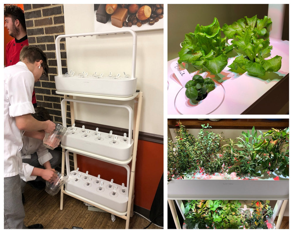 Growing With The Smart Garden 27: A Culinary Arts Instructor's Story