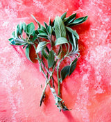 Best Food Combinations...with Sage