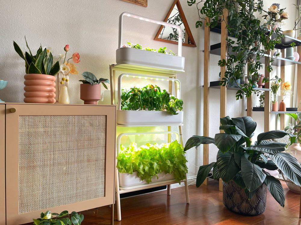 Home Decor Ideas: 7 Ways to Use Your Indoor Herb Garden