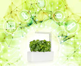 Announcing The Release Of GardenCoin, Make Money While You Grow.