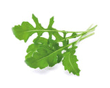 Arugula Plant Pods 9-pack