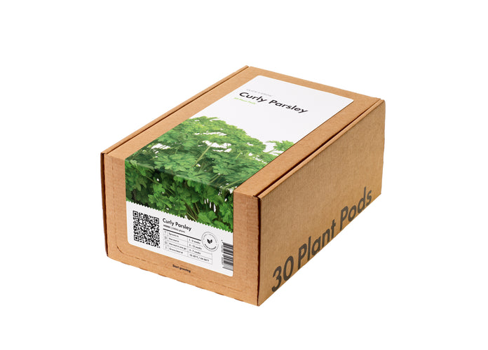 Curly Parsley 30-pack