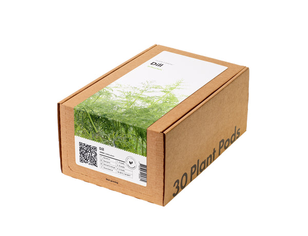 Dill 30-pack