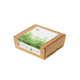 Dill Plant Pods 9-pack