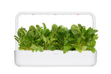 Green Chard Plant Pods 9-pack