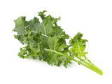 Green Kale Plant Pods 9-pack