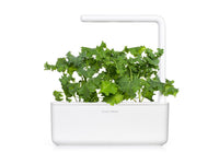 Green Kale Plant Pods 9-pack / Green Kale Plant Pods 9-pack