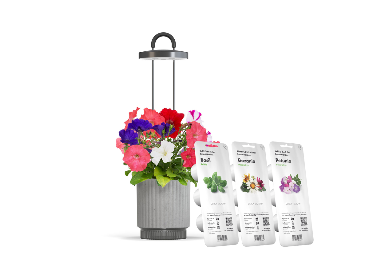 Best Gift Under £100 / Best Gift Under £100