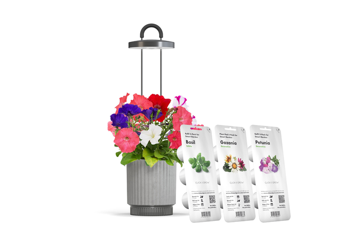 Best Gift Under £100 - Grey