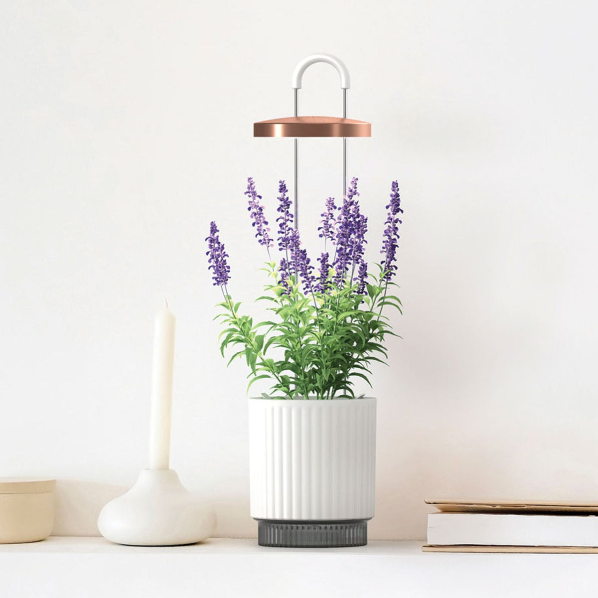 Best Gift Under £100 / Best Gift Under £100