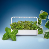 Loaded Water Mix