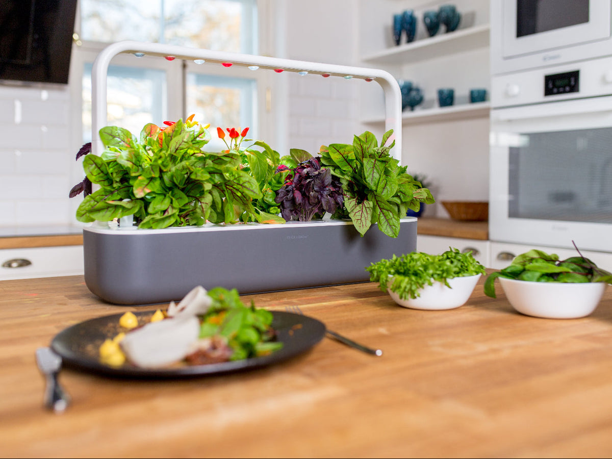 Best Gift Under £200 / Best Gift Under £200