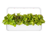 Red Oakleaf Lettuce Plant Pods 9-pack