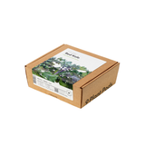 Red Kale Plant Pods 9-pack