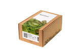 Red Lettuce Plant Pods 30-pack