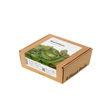Red Lettuce Plant Pods 9-pack