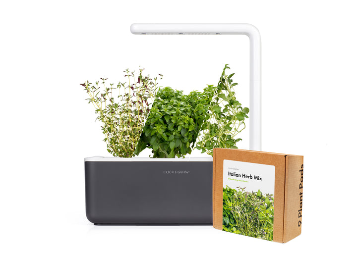 Small "Italian Herb" Kit