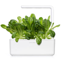 Romaine Lettuce Plant Pods 9-pack / Romaine lettuce -grow lettuce at home - Click & Grow - indoor herb garden kit