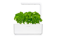 Basil Plant Pods 9-pack / Basil Plant Pods 9-pack