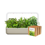 Big "Herbal Tea" Kit