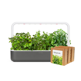 Big "Herbal Tea" Kit