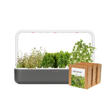 Big "Italian Herb" Kit