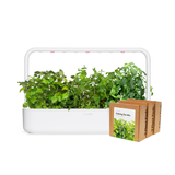 Big "Herbal Tea" Kit