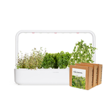Big "Italian Herb" Kit