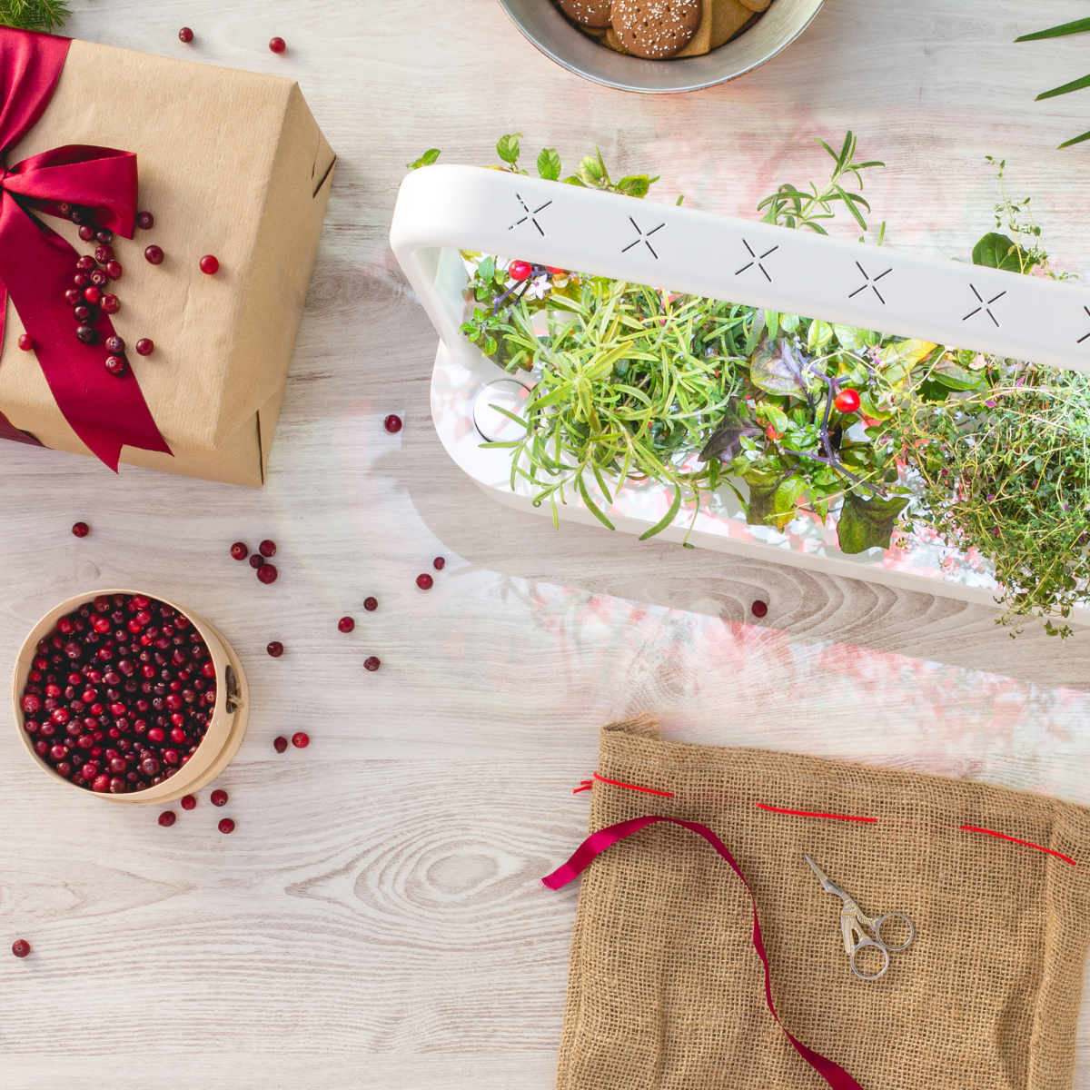 Best Gift Under £200 / Best Gift Under £200