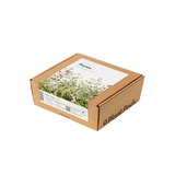 Thyme Plant Pods 9-pack