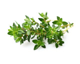 Thyme Plant Pods 30-pack