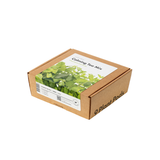 Calming Tea Mix 9-pack